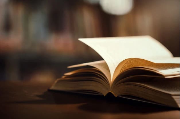 foto Livro